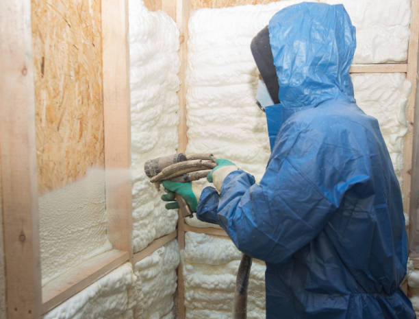 Best Basement Insulation  in Carrier Mls, IL